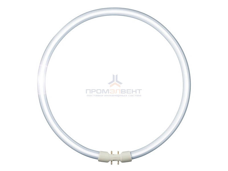 Люминесцентная лампа кольцевая Philips TL5 Circular 60W/840 2GX13, D379mm