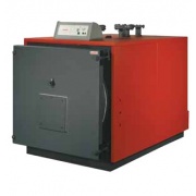 Газовый котел Fondital Rodi Dual 100