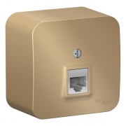 Розетка компьютерная RJ45 кат.5E Blanca Schneider Electric титан изол.пластина